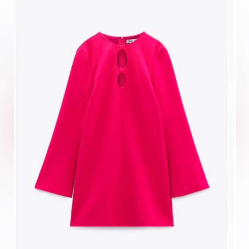 Zara dress